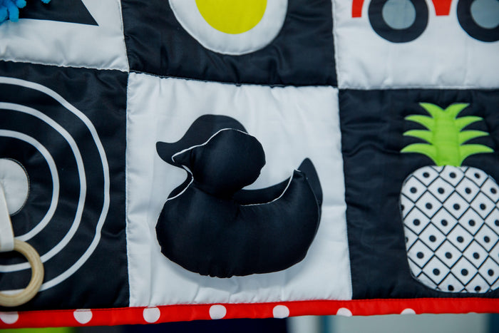 PRE ORDER | High Contrast Black & White Sensory Play Mat - 40x40 inches - Bombay Toy Company