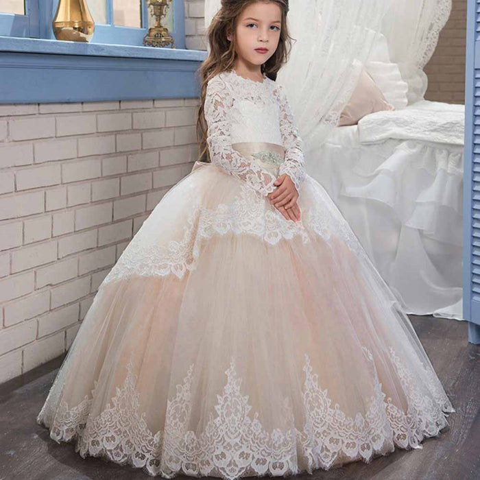Champagne / 2-3Y