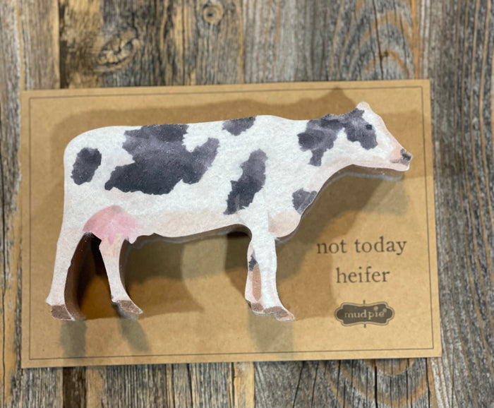 Farm Animal Sponges