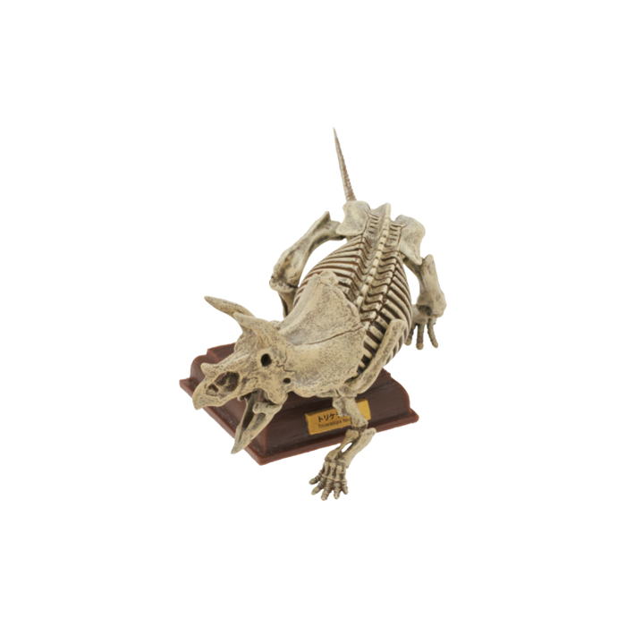 Japan Kitan Dinosaur Triceratops Skeleton Fossil (Yellow) PVC figurine figure model with base