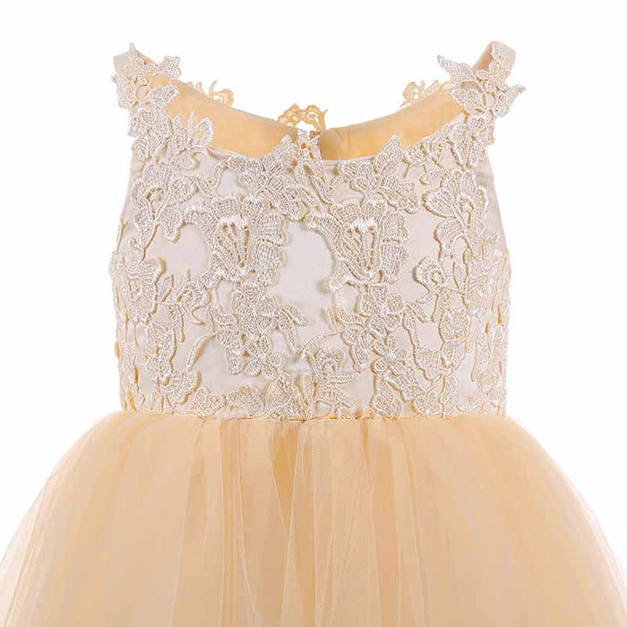 Lace Embroidery Sheer Sleeveless Flower Dress Kids Trailing Tutu Gowns