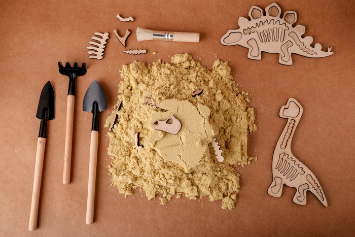 Montessori Puzzle Toy | Dinosaur Fossil Puzzle Toy | Set of 4