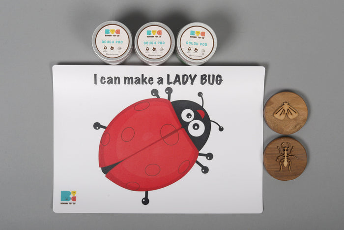Play Dough Kit | I can make a Ladybug | Reusable - Bombay Toy Company