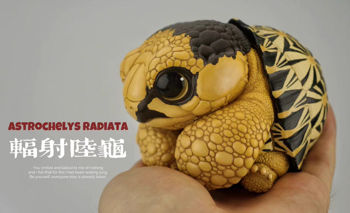 Super Q Radiated tortoise turtle Resin Replica Model Figurine Figure (pre-order)