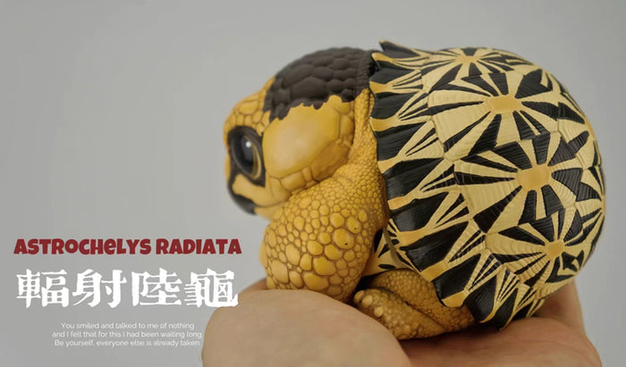 Super Q Radiated tortoise turtle Resin Replica Model Figurine Figure (pre-order)