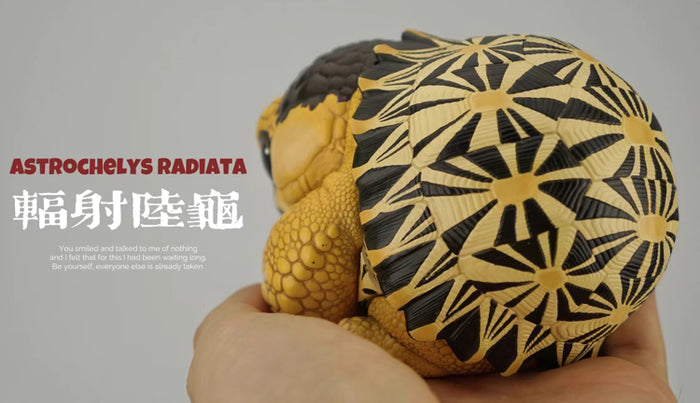 Super Q Radiated tortoise turtle Resin Replica Model Figurine Figure (pre-order)