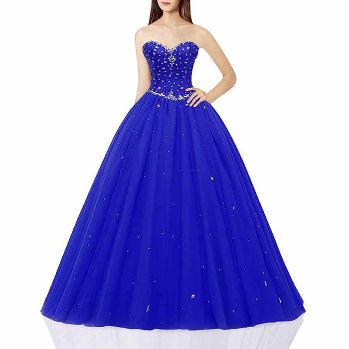 Royal Blue / Normal Size (2-26w)